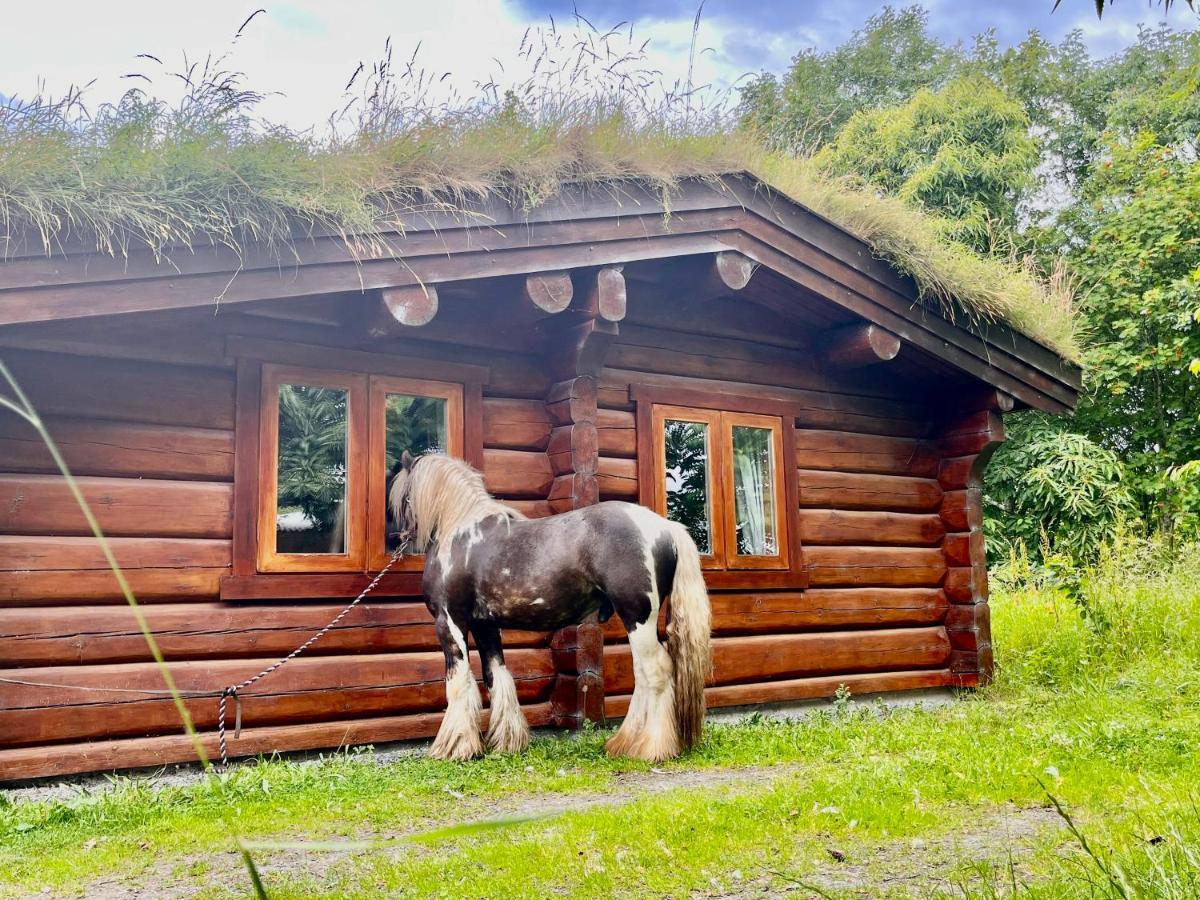 Log Home Village Алверстон Екстер'єр фото